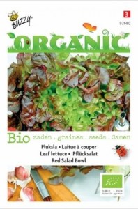 92680 bio red salad bowl_500x500